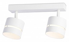 Спот Ambrella Light TN TN71058 250_100_Array