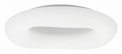 Накладной светильник Citilux Стратус Смарт CL732A800G 500_191_3148422