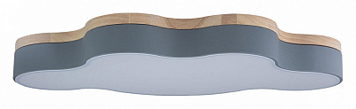 Накладной светильник Loft it Axel 4 10005/36 Grey 500_191_3154302