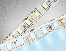 Лента светодиодная Ambrella Light GS GS1203 500_191_2289253