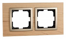 Рамка на 2 поста Mono Electric Style 107-520000-161 250_100_Array