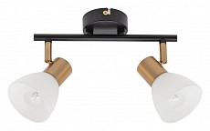 Спот Arte Lamp Falena A3117PL-2BK 250_100_Array