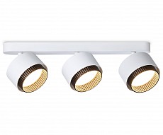 Спот Ambrella Light TN TN71291 500_191_2289158