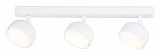 Спот Ambrella Light TN TN71015 500_191_2288214