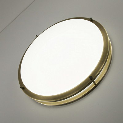 Накладной светильник Citilux Бостон CL709503N 400_400_2630686