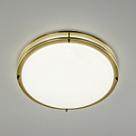 Накладной светильник Citilux Бостон CL709503N 250_100_2630681