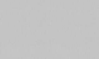 A101113 Обои ARTSIMPLE (1*6) 10,00x1,06 винил на флизелине 500_191_2323769