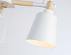Люстра на штанге Ambrella Light TR TR82204 100_100_2026309