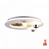 Потолочная люстра Favourite Plaides 4630-4C 100_100_2432067