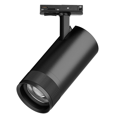 Светильник на штанге Lightstar Canno Pro C4307SS 400_400_3096862