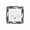 Розетка двойная RJ-12 и Ethernet RJ-45, без рамки Arlight SCT 049854 100_100_681394