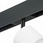Светильник на штанге Lightstar Rullo PRO3486 250_100_1717831