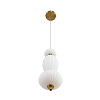 Подвесной светильник Lumion LEDIO 8369/15L 100_100_3073183
