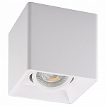 Накладной светильник Denkirs DK3030 DK3030-WH 250_100_1912773