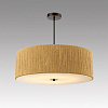 Светильник на штанге Lumion SILVANA 8286/7 100_100_2172990
