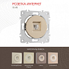 Розетка Ethernet RJ-45 без рамки Arte Milano am-202 202.45-1.shampan 100_100_2165974