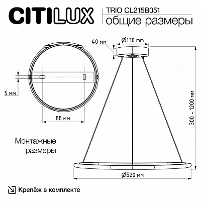 Подвесной светильник Citilux Trio CL215B051 400_400_1693598