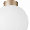 Накладной светильник Lightstar Globo 812023 100_100_3155803