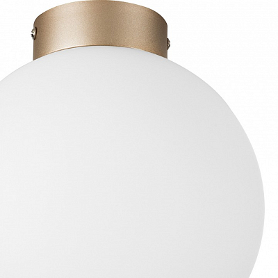 Накладной светильник Lightstar Globo 812023 400_400_3155803