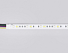Лента светодиодная Ambrella Light GS GS4501 100_100_2025221