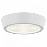 Накладной светильник Lightstar Urbano 214902 250_100_Array