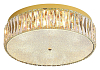 Накладной светильник Newport 8240 8246/PL gold NEW 100_100_2449822