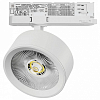 Светильник на штанге Lightstar Alta Pro A5636QT 100_100_3240178