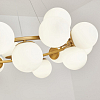 Подвесная люстра Zortes Blume ZRS.1895.05 100_100_1997768