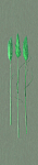 33272 Панно Marburg (1*1) 3,30x0,70 винил на флизелине 250_100_Array