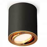Накладной светильник Ambrella Light XS XS7422003 250_100_Array