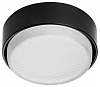Накладной светильник Lightstar Tensio 212217 100_100_2448475