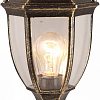 Наземный низкий светильник Arte Lamp Pegasus A3151FN-1BN 100_100_1821361
