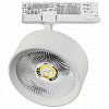 Светильник на штанге Lightstar Alta Pro A5746QT 100_100_3240184