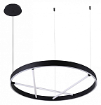 Подвесной светильник Arte Lamp Ricco A1874SP-45BK 250_100_1824787