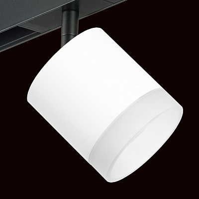 Светильник на штанге Lightstar Rullo PRO348680 400_400_1717852