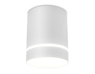Накладной светильник Ambrella Light TN TN280 250_100_2002935