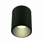 Накладной светильник LIGHTERA Shamrock LE201CL-1BA 250_100_2049180