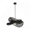 Подвесной светильник Lumion ECO 8382/1 100_100_2686978