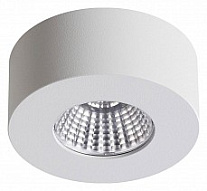 Накладной светильник Odeon Light Bene 4282/7CL 500_191_2235565