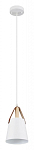 Подвесной светильник Arte Lamp Thomas A7032SP-1WH 250_100_1823969