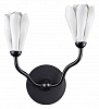 Бра Odeon Light Gardi 5090/2W 100_100_2236482