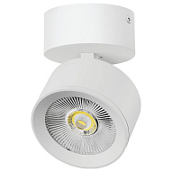 Спот Lightstar Alta Pro A5536SO 500_191_3238901