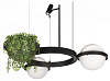 Подвесной светильник Loft it Jardin 10121/2 100_100_2460918
