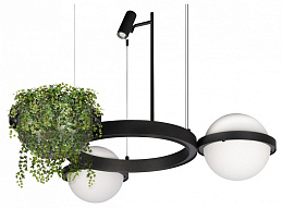 Подвесной светильник Loft it Jardin 10121/2 500_191_2460918