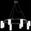 Подвесная люстра Lightstar Rullo LR0183648640 100_100_1718361