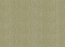 KM5010 Обои Kerama Marazzi (April/Primavera/Eden/Bamboo) (1*4) 10,05*1,06 винил на флизелине 250_100_2147437