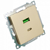 Розетка 2хUSB type A и C без рамки Stekker Катрин 50053 100_100_2160578