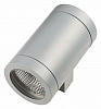 Накладной светильник Lightstar Paro 351619 100_100_2233171