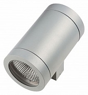 Накладной светильник Lightstar Paro 351619 500_191_2233171