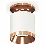 Накладной светильник Ambrella Light XS XS7401141 250_100_Array